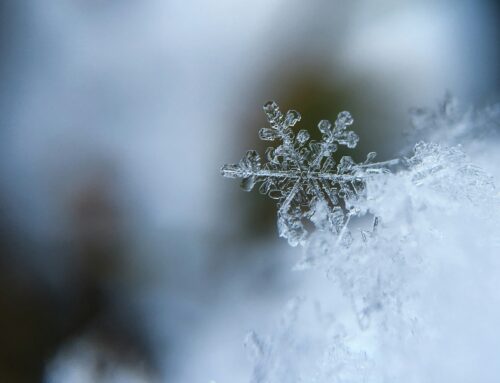 INVIERNO VOCACIONAL